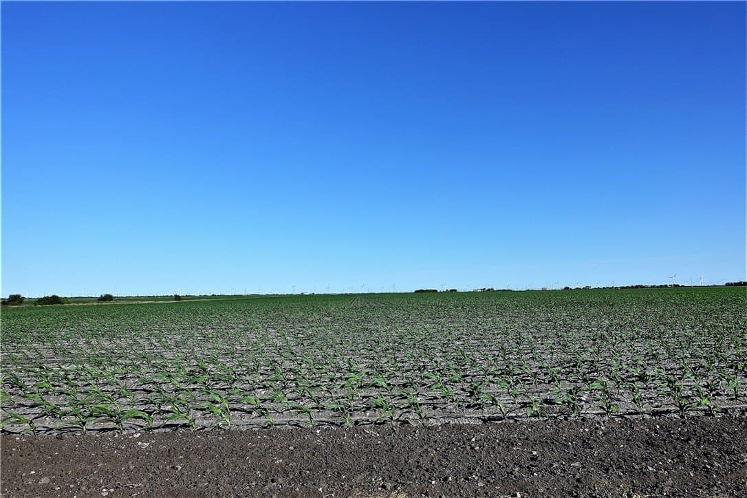 96.17 acres in San Patricio County - photo 16