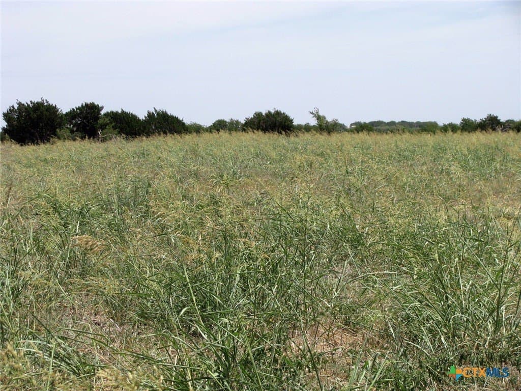 41.06 acres in Hamilton County gallery image 4