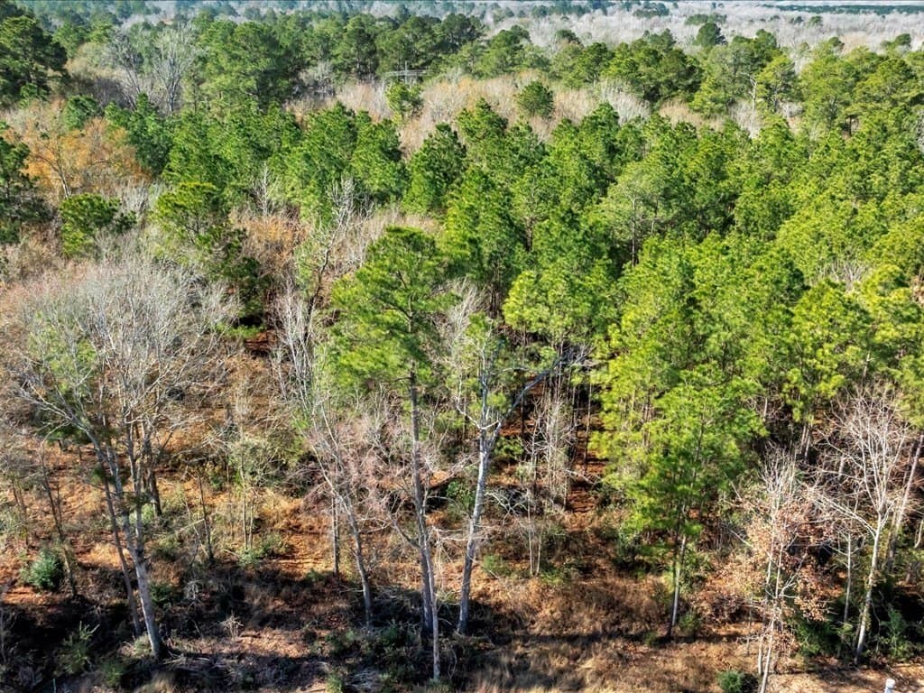 1.87 acres in Texas County - photo 4