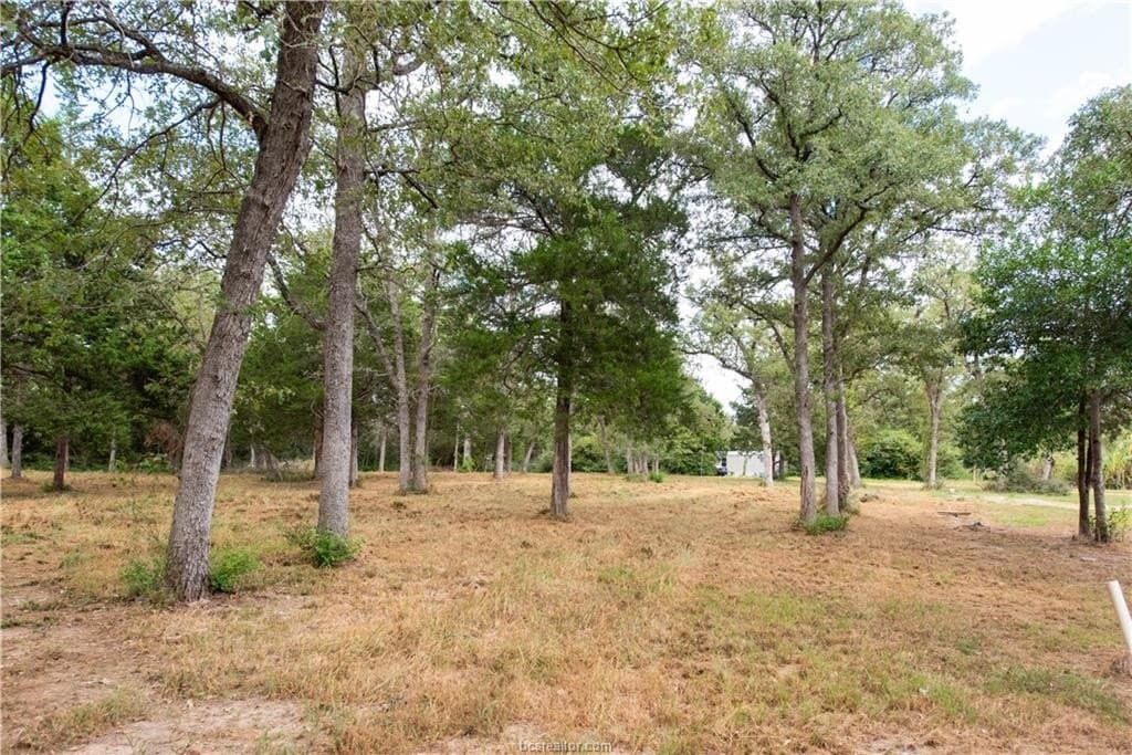 1.2 acres in Burleson County gallery image 2
