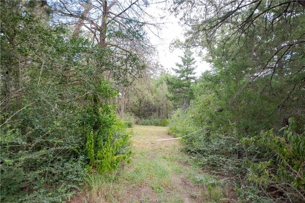 1.2 acres in Burleson County gallery image 4