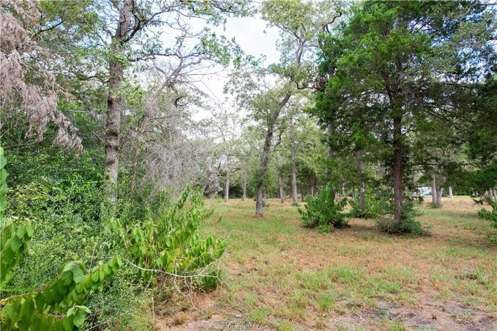 1.2 acres in Burleson County featured view