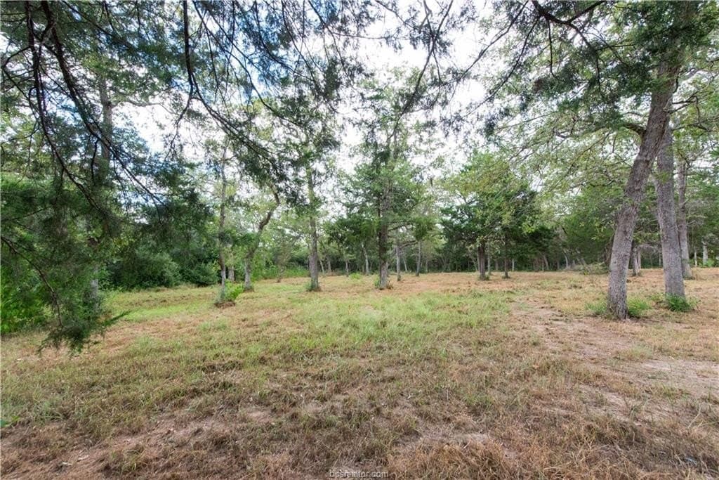 1.2 acres in Burleson County