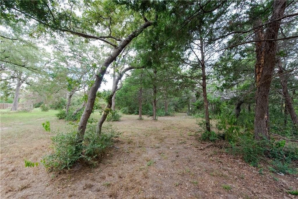1.2 acres in Burleson County gallery image 3