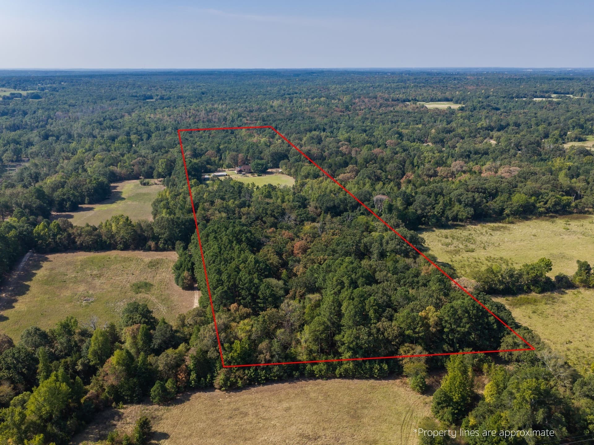 21.81 acres in Henderson County - photo 3
