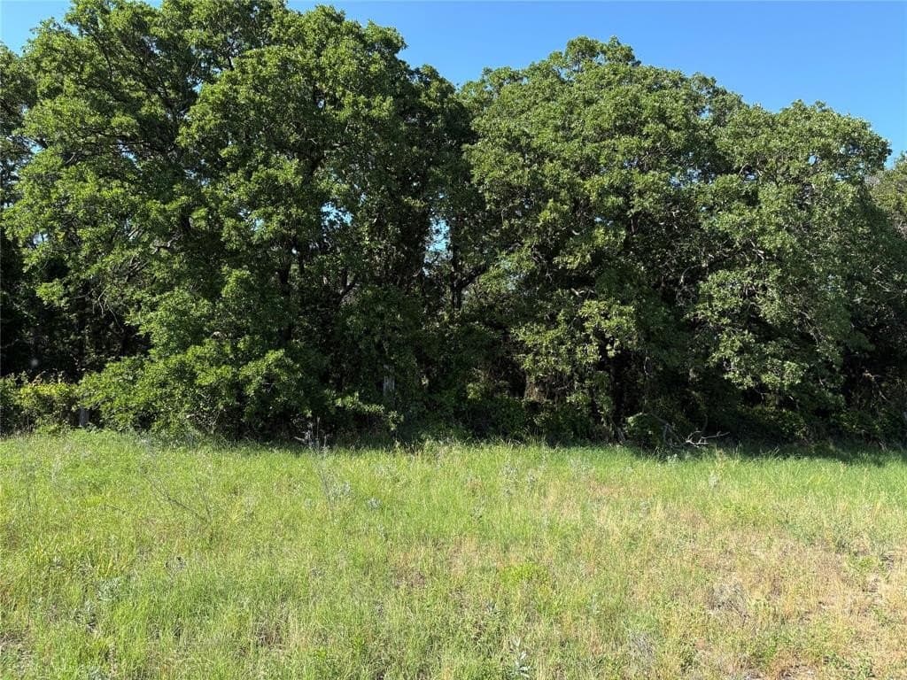 19.54 acres in Parker County gallery image 4