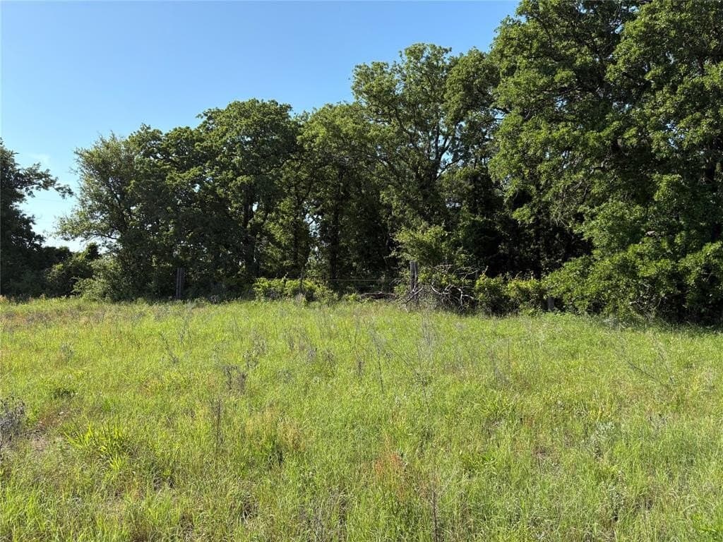 19.54 acres in Parker County featured view