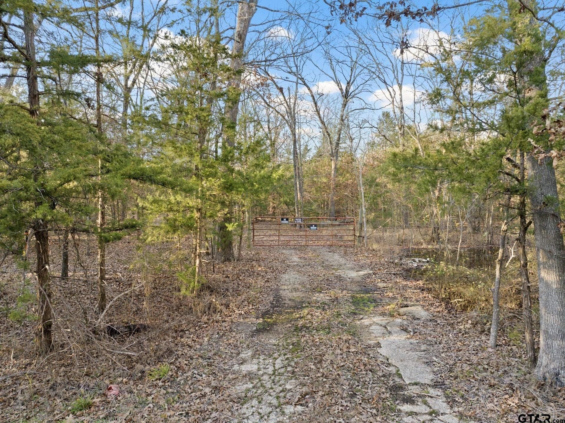 83.46 acres in Titus County - photo 16