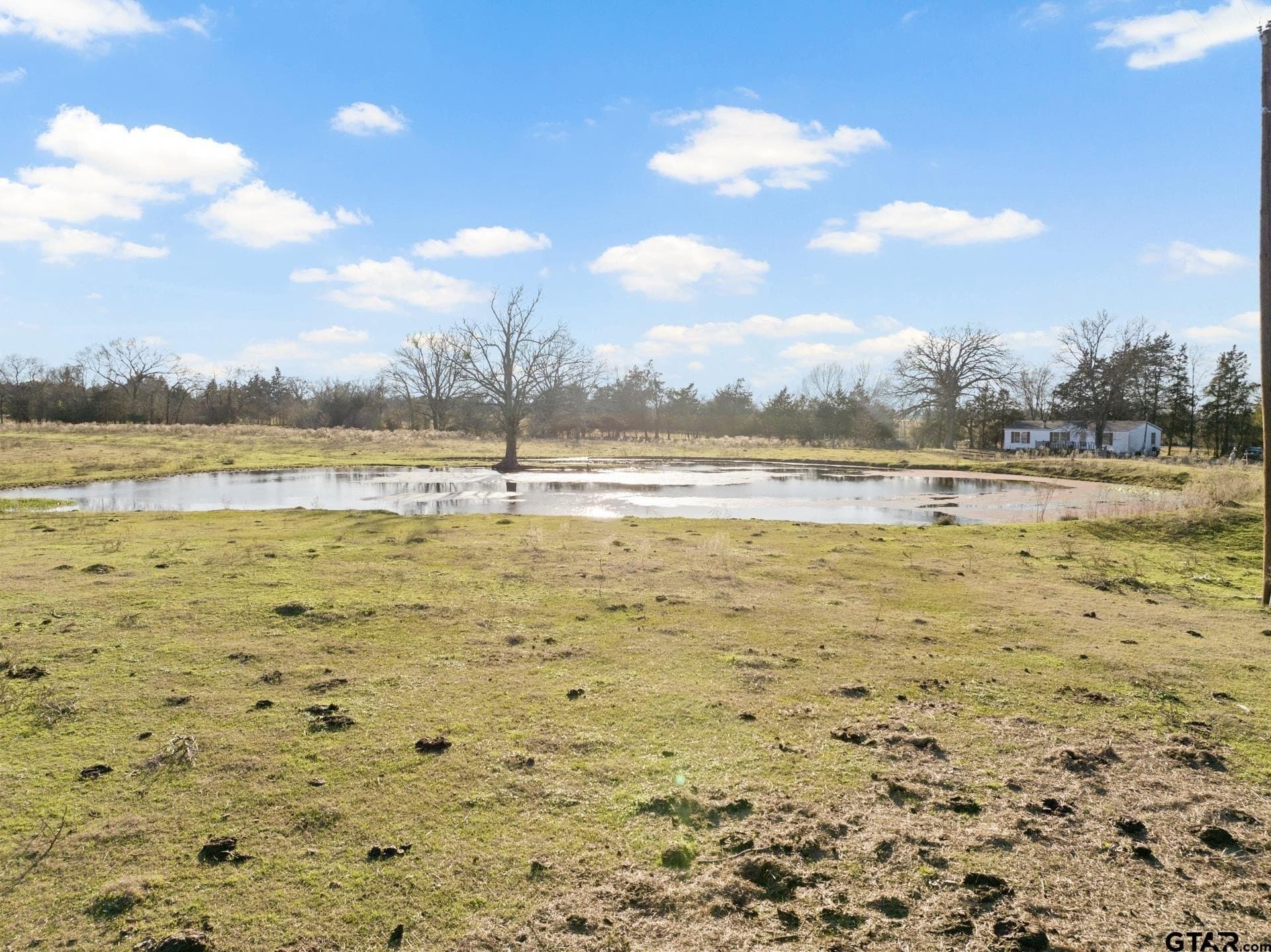 83.46 acres in Titus County - photo 8