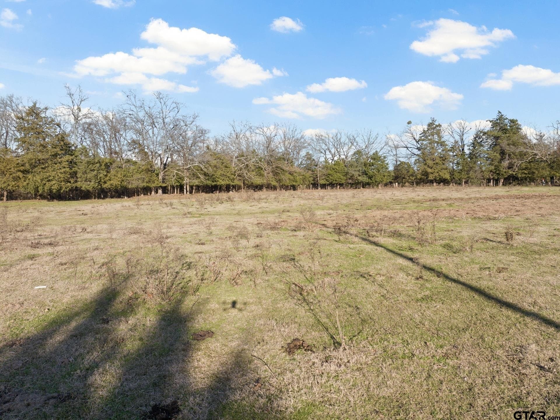 83.46 acres in Titus County - photo 6