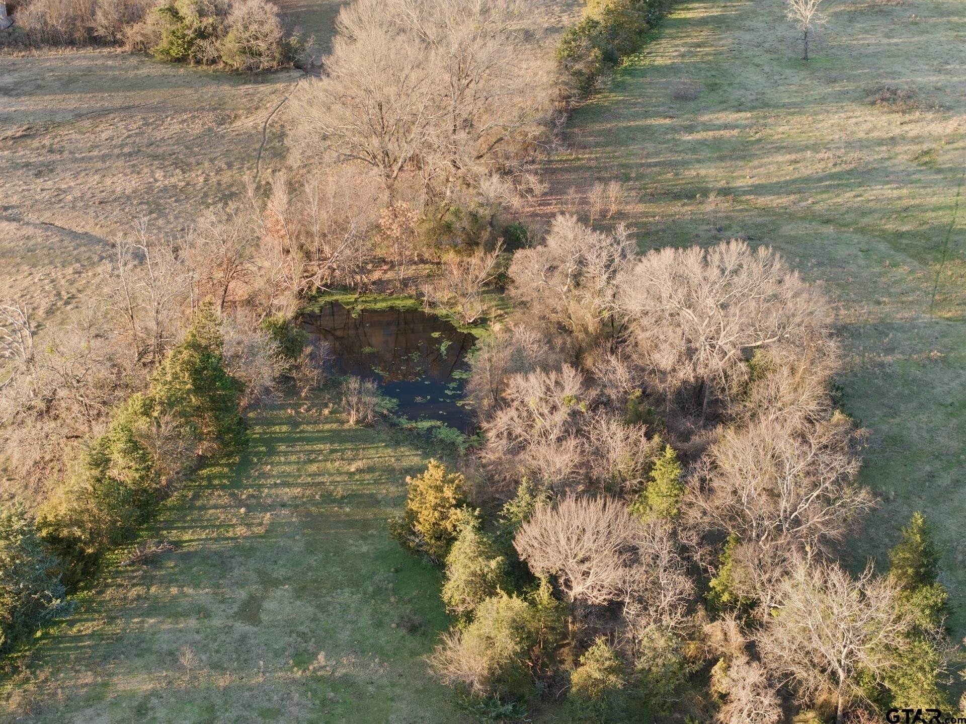 83.46 acres in Titus County - photo 26