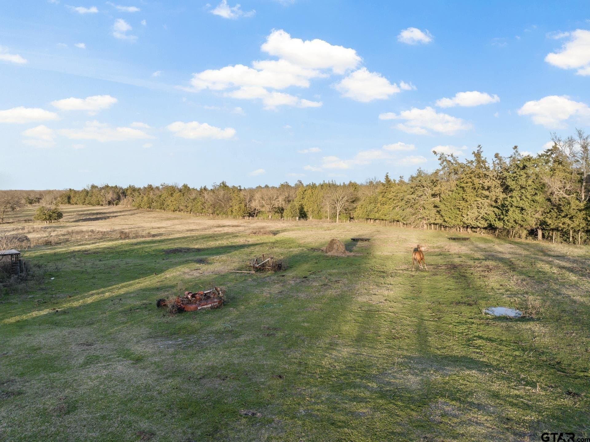 83.46 acres in Titus County - photo 20