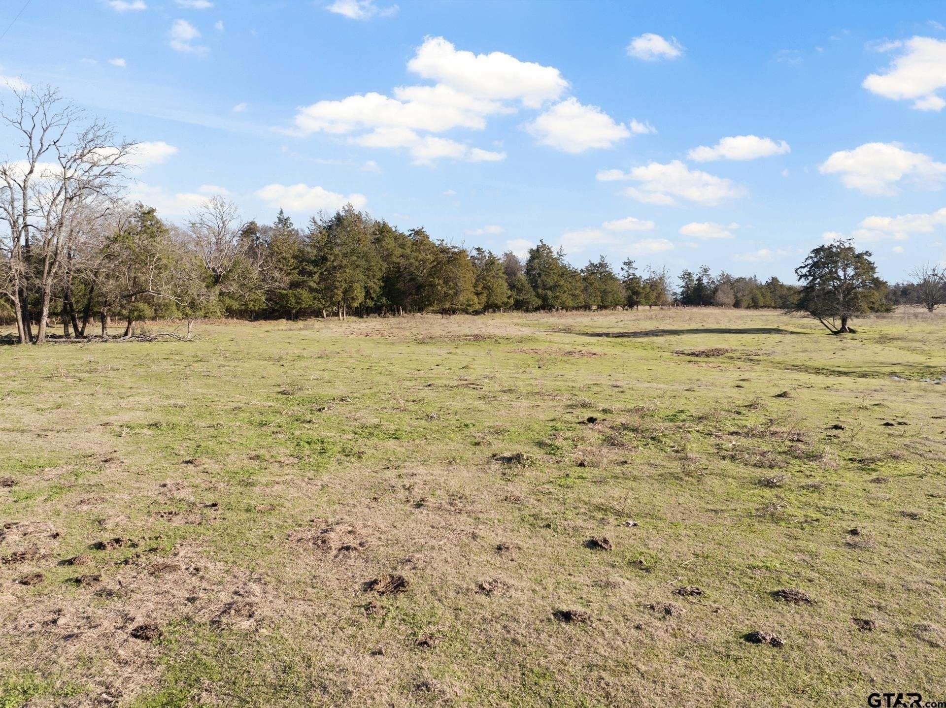 83.46 acres in Titus County - photo 7