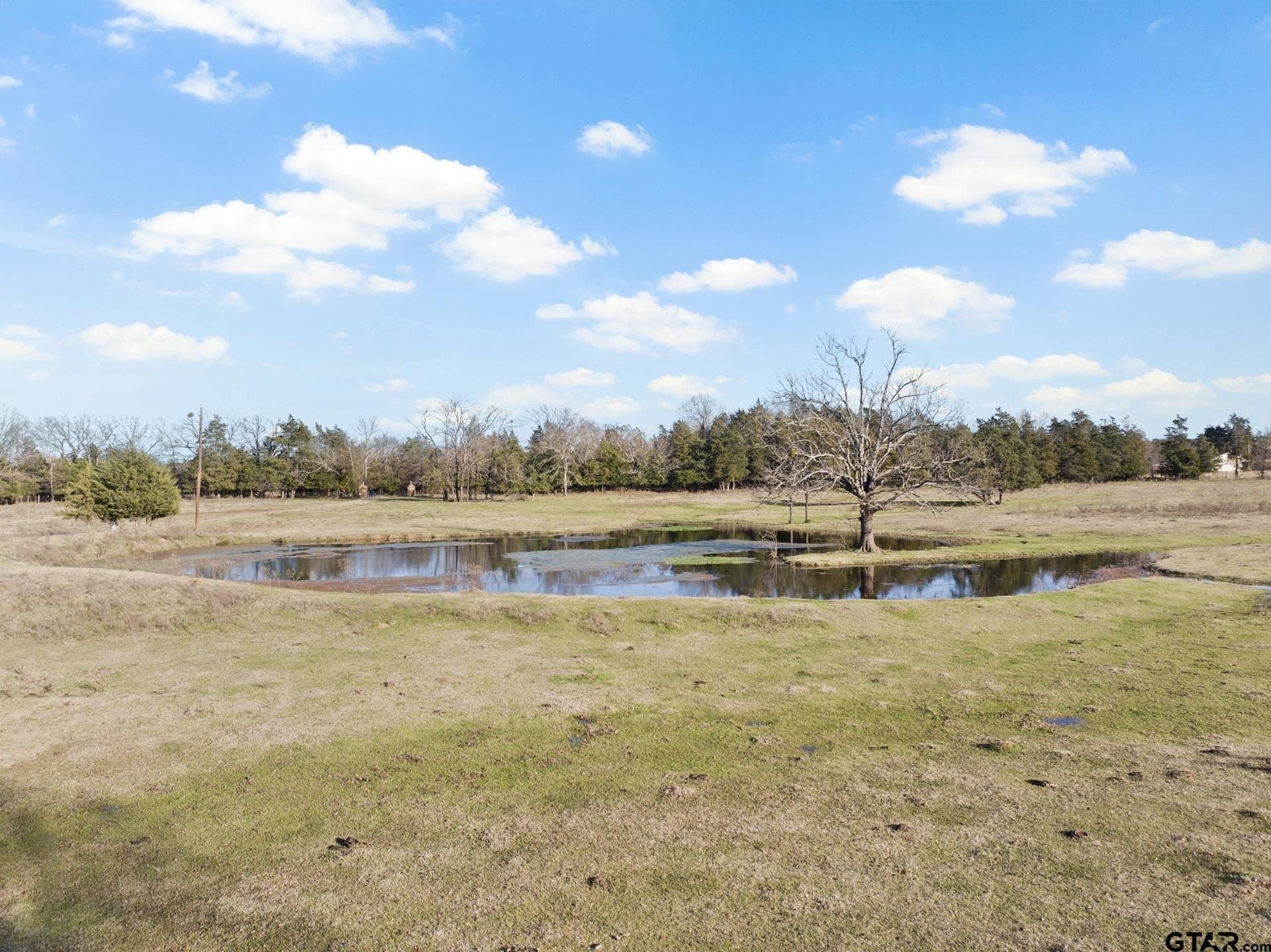 83.46 acres in Titus County - photo 9