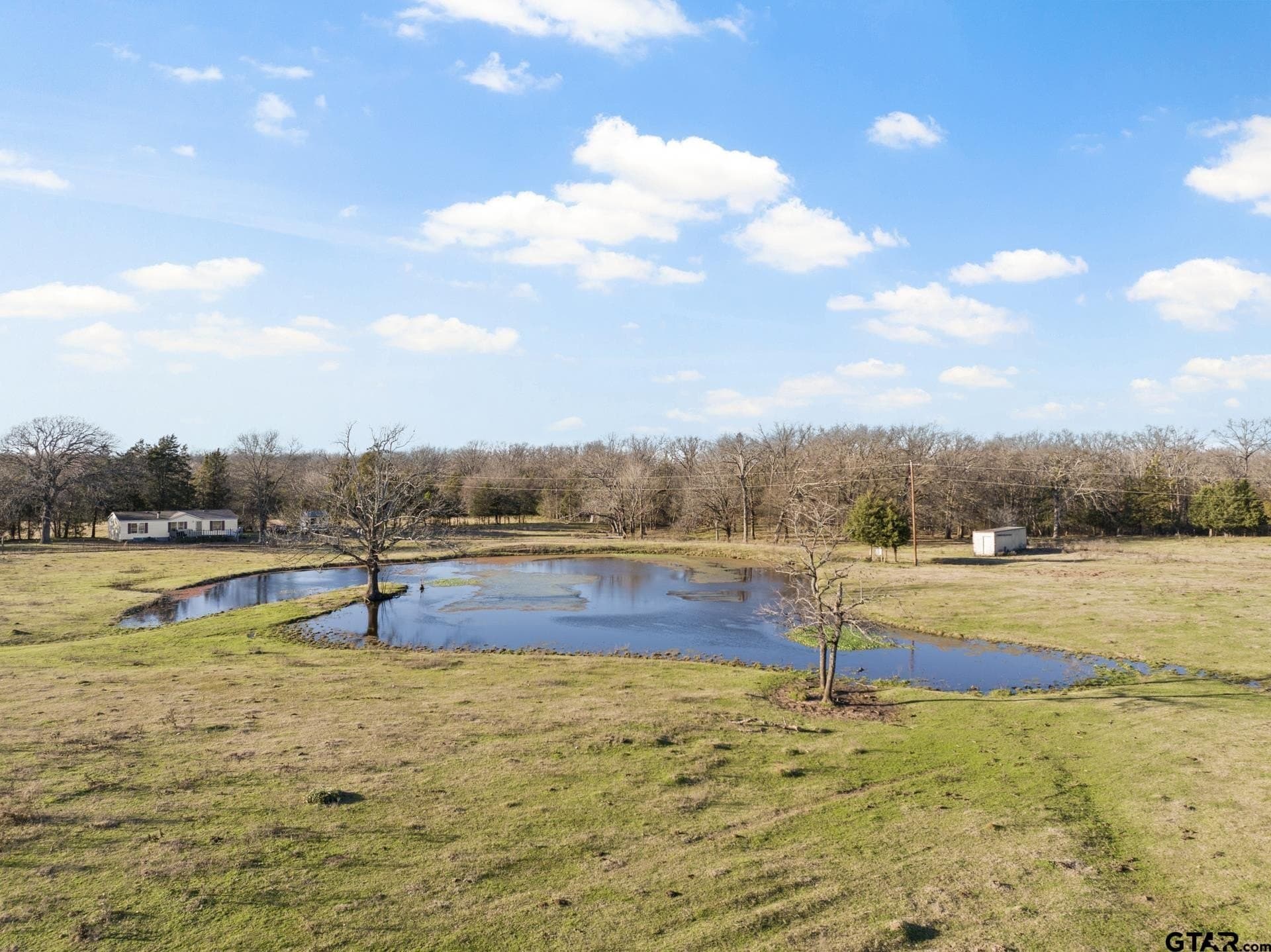 83.46 acres in Titus County - photo 13