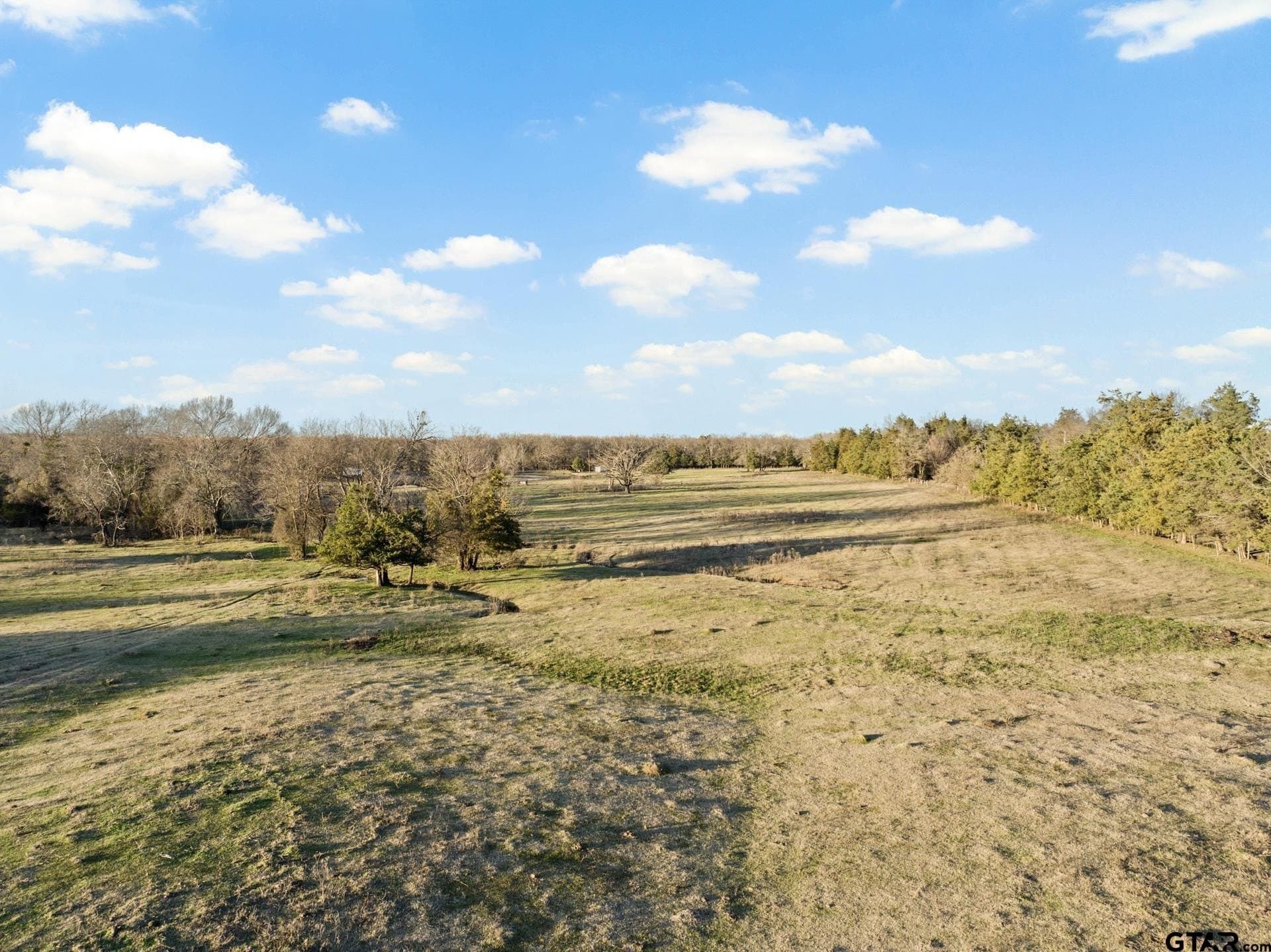 83.46 acres in Titus County - photo 24