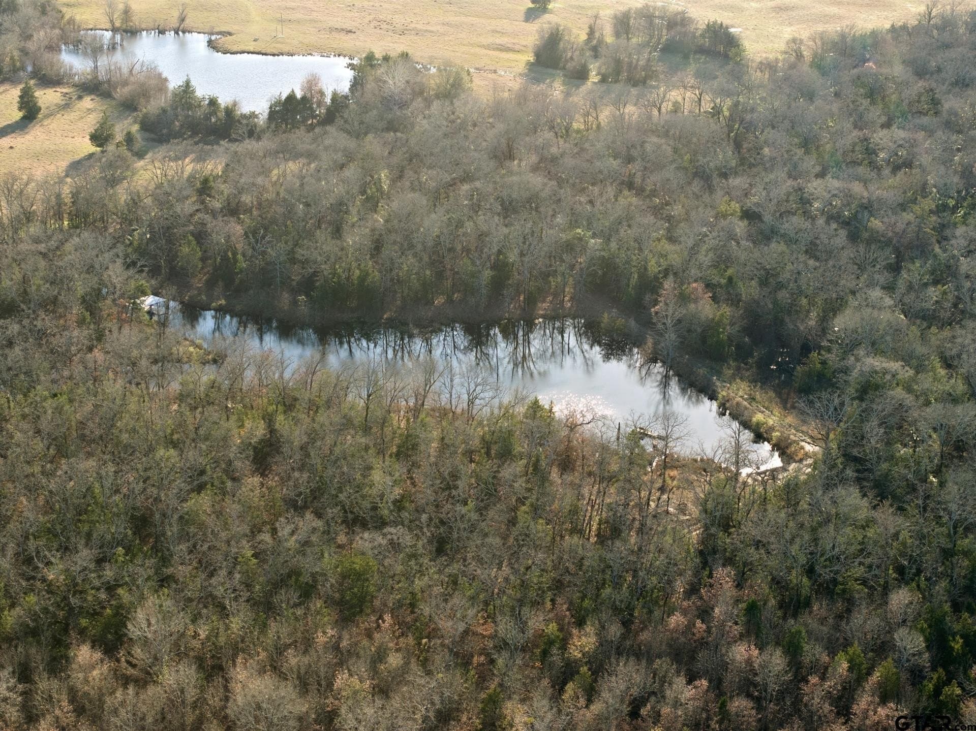 83.46 acres in Titus County - photo 18