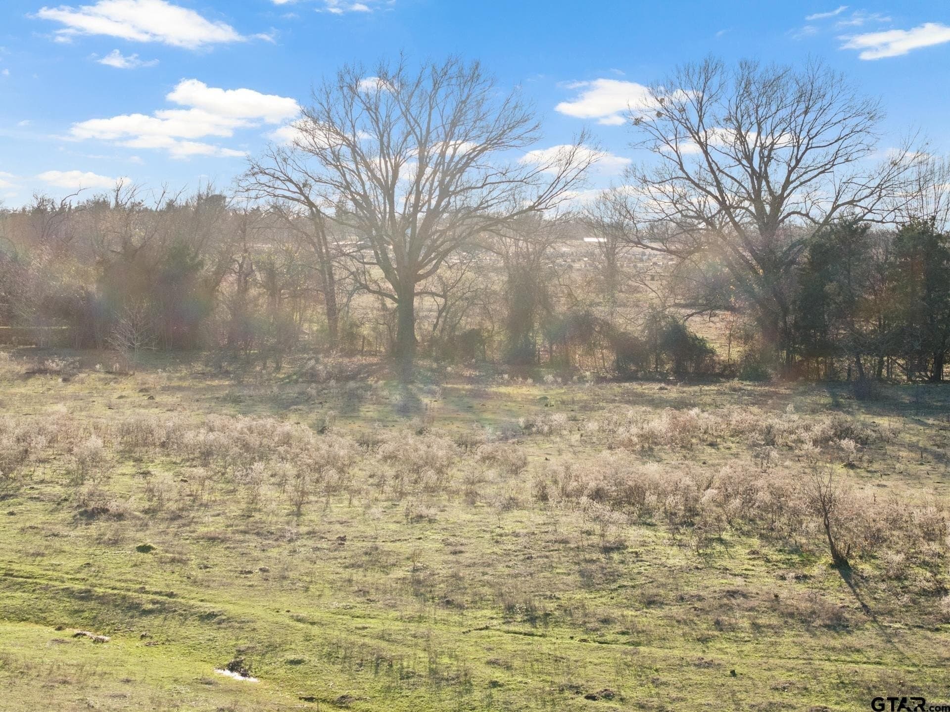 83.46 acres in Titus County - photo 12