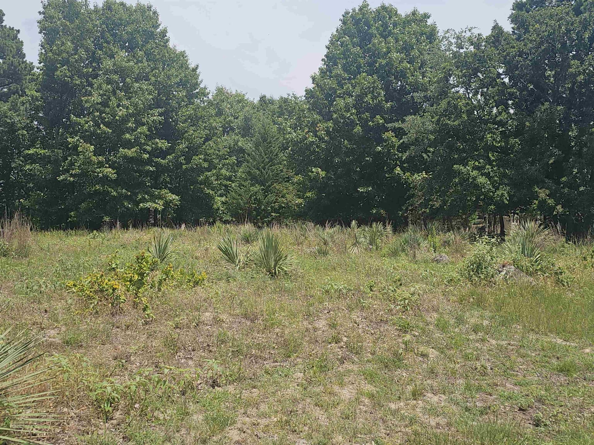 0.27 acres in Wood County gallery image 2