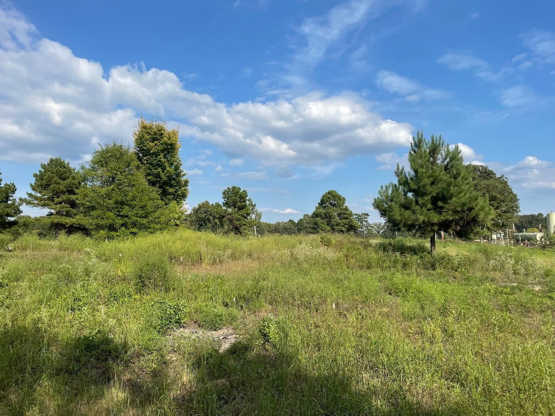 2.8 acres in Texas County gallery image 2