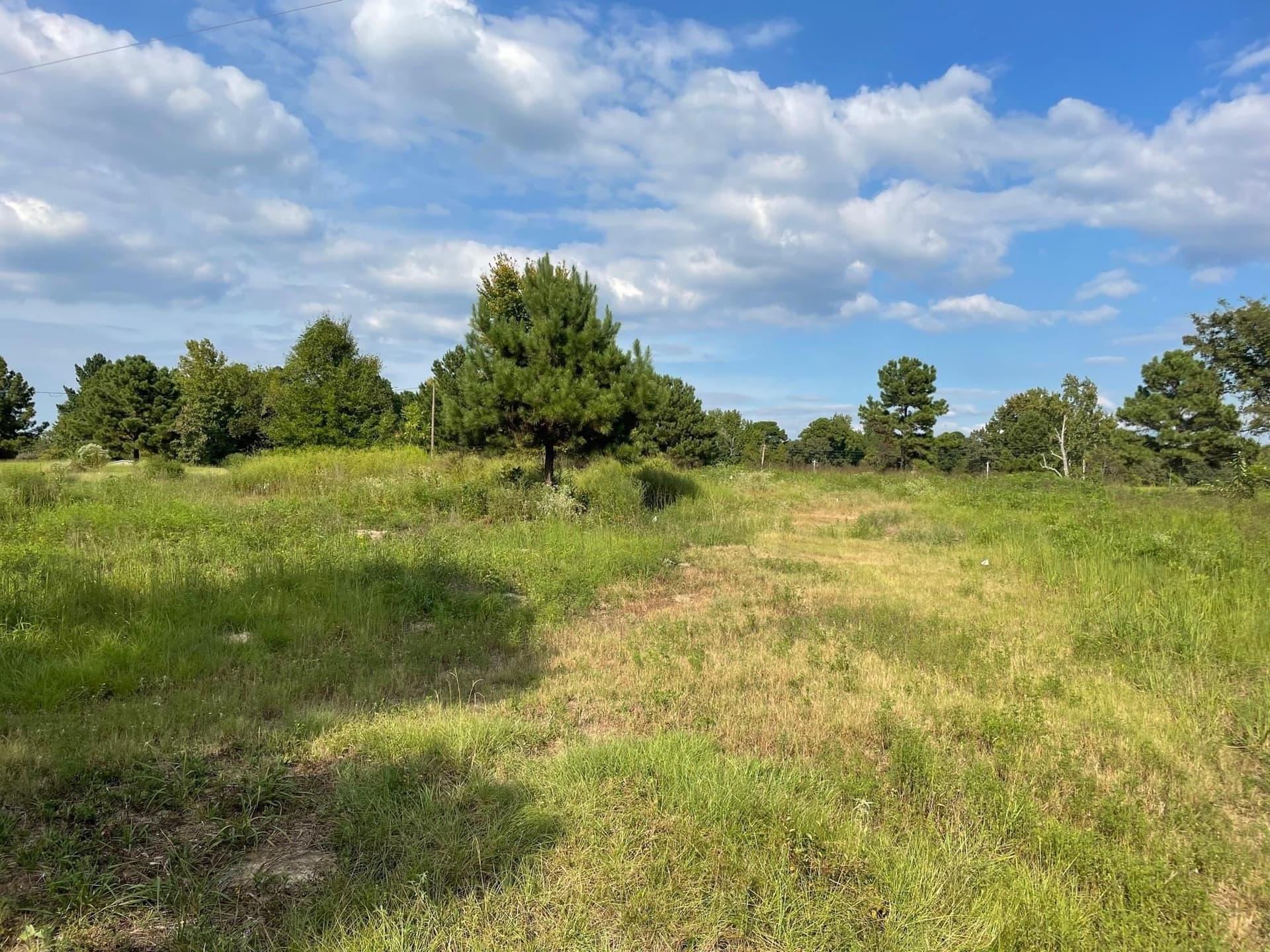 2.8 acres in Texas County gallery image 4
