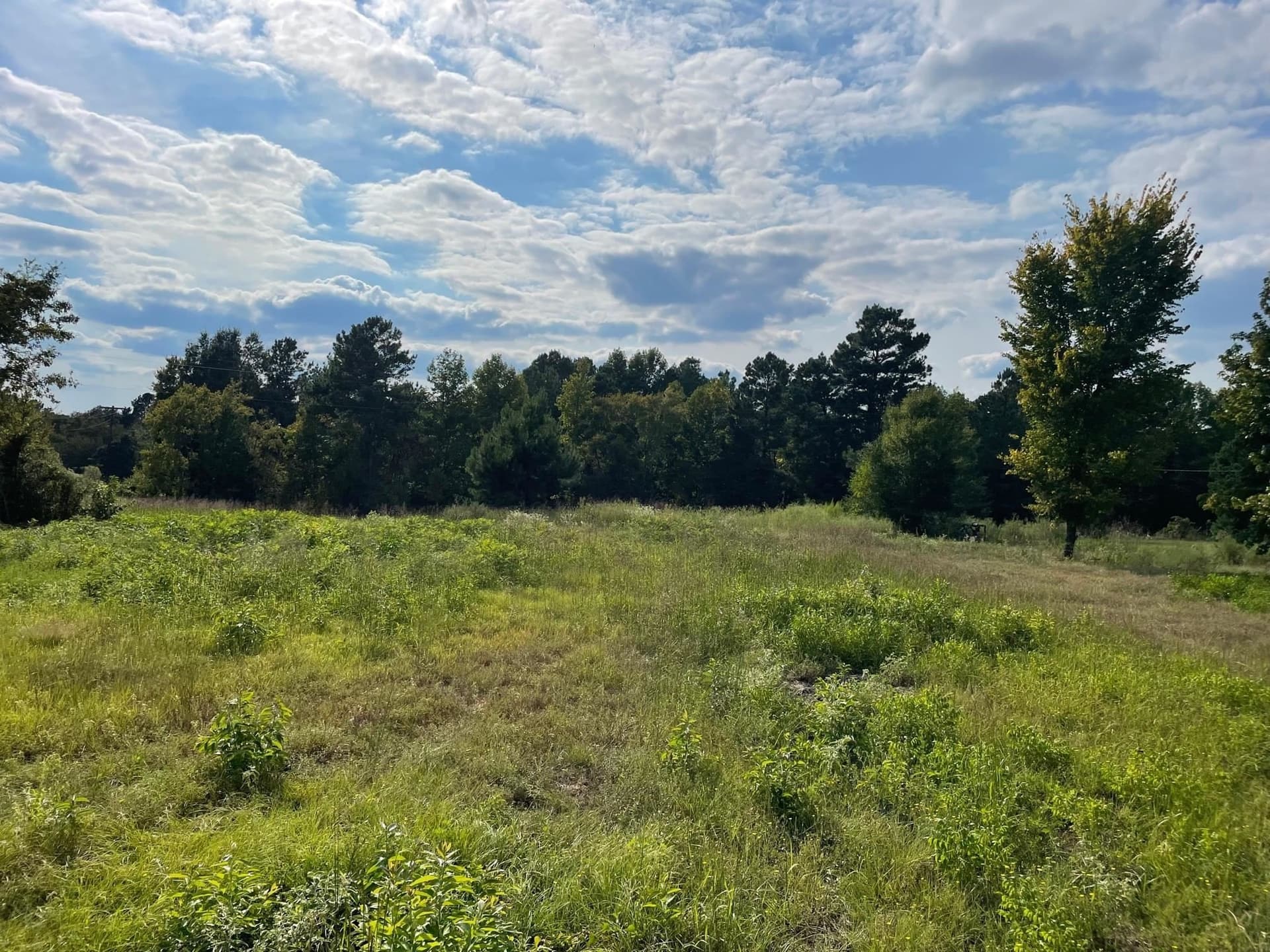 2.8 acres in Texas County