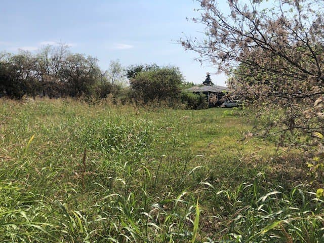 0.34 acres in Dallas County gallery image 4