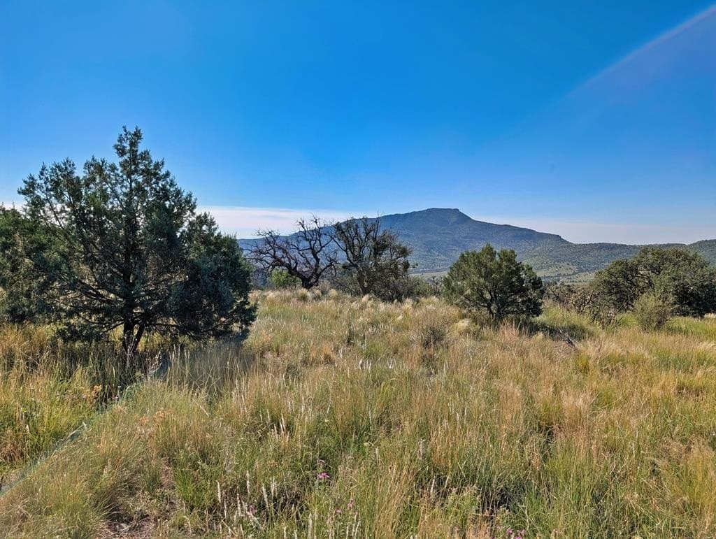 18.1 acres in Jeff Davis County - photo 8