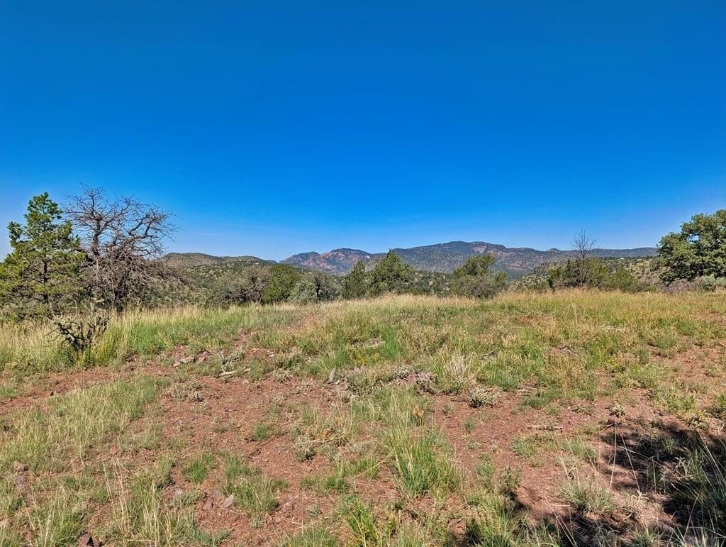 18.1 acres in Jeff Davis County - photo 16