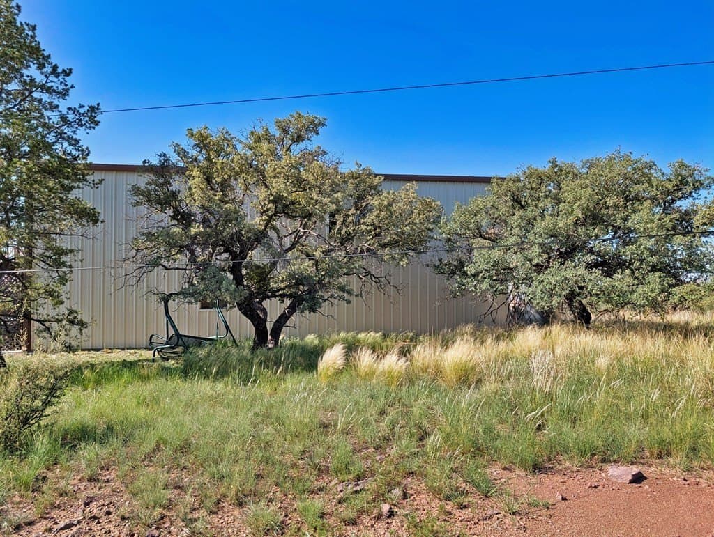 18.1 acres in Jeff Davis County gallery image 3