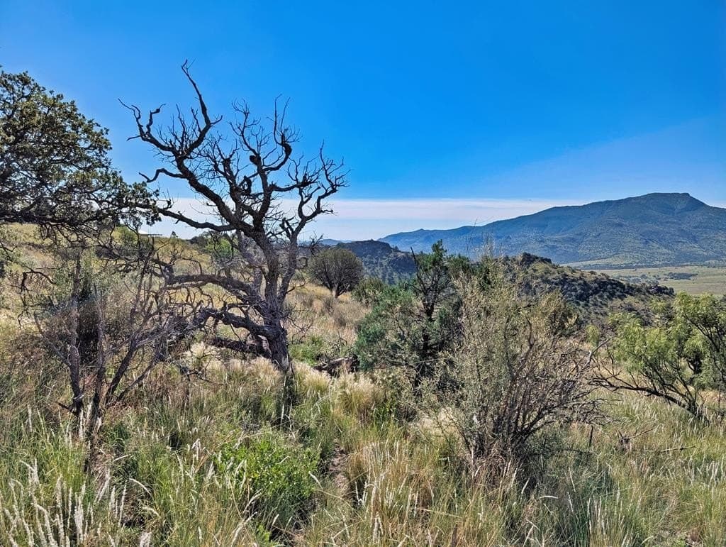 18.1 acres in Jeff Davis County - photo 12