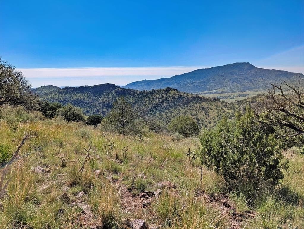 18.1 acres in Jeff Davis County - photo 17