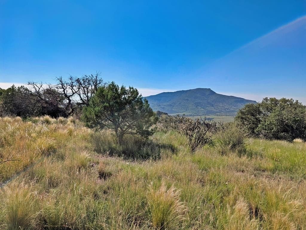 18.1 acres in Jeff Davis County - photo 9