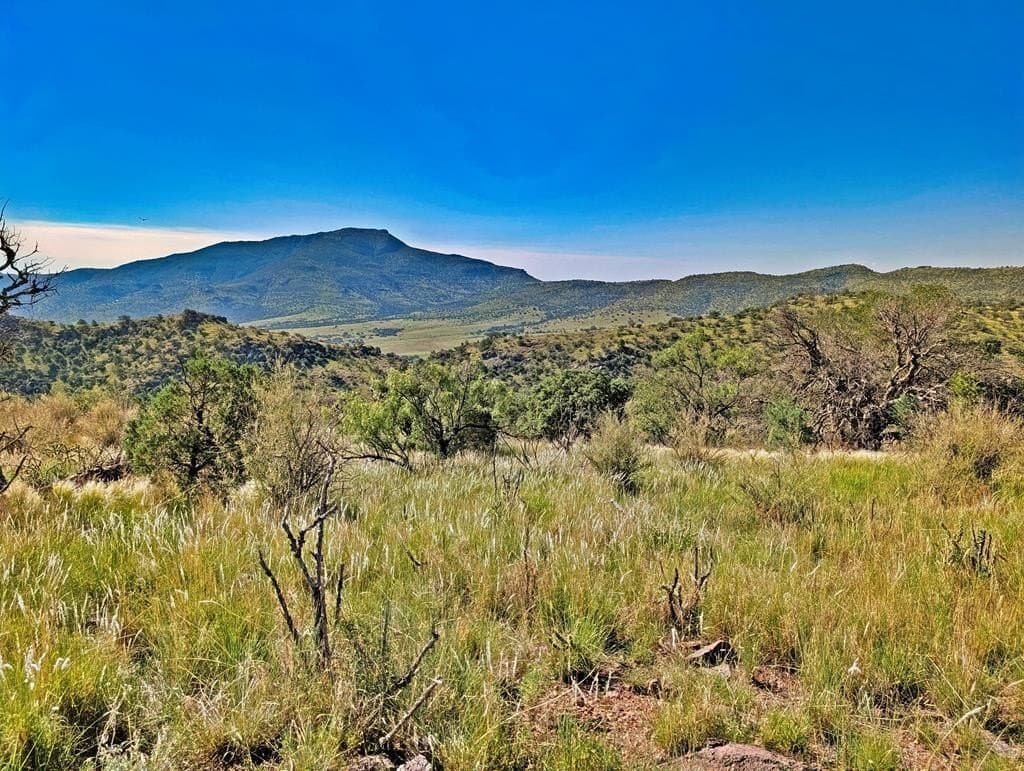 18.1 acres in Jeff Davis County - photo 11