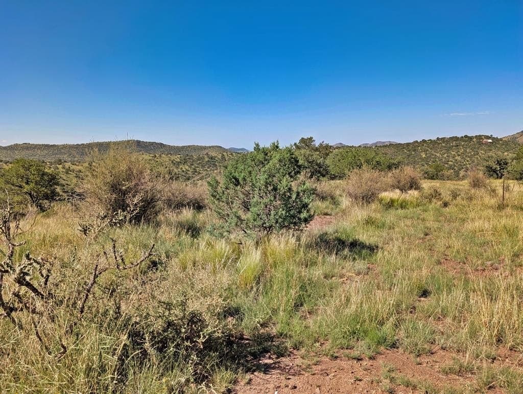 18.1 acres in Jeff Davis County - photo 14