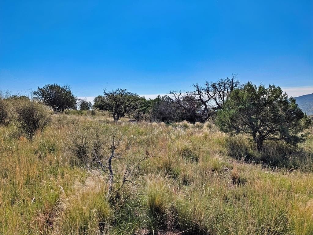 18.1 acres in Jeff Davis County - photo 10