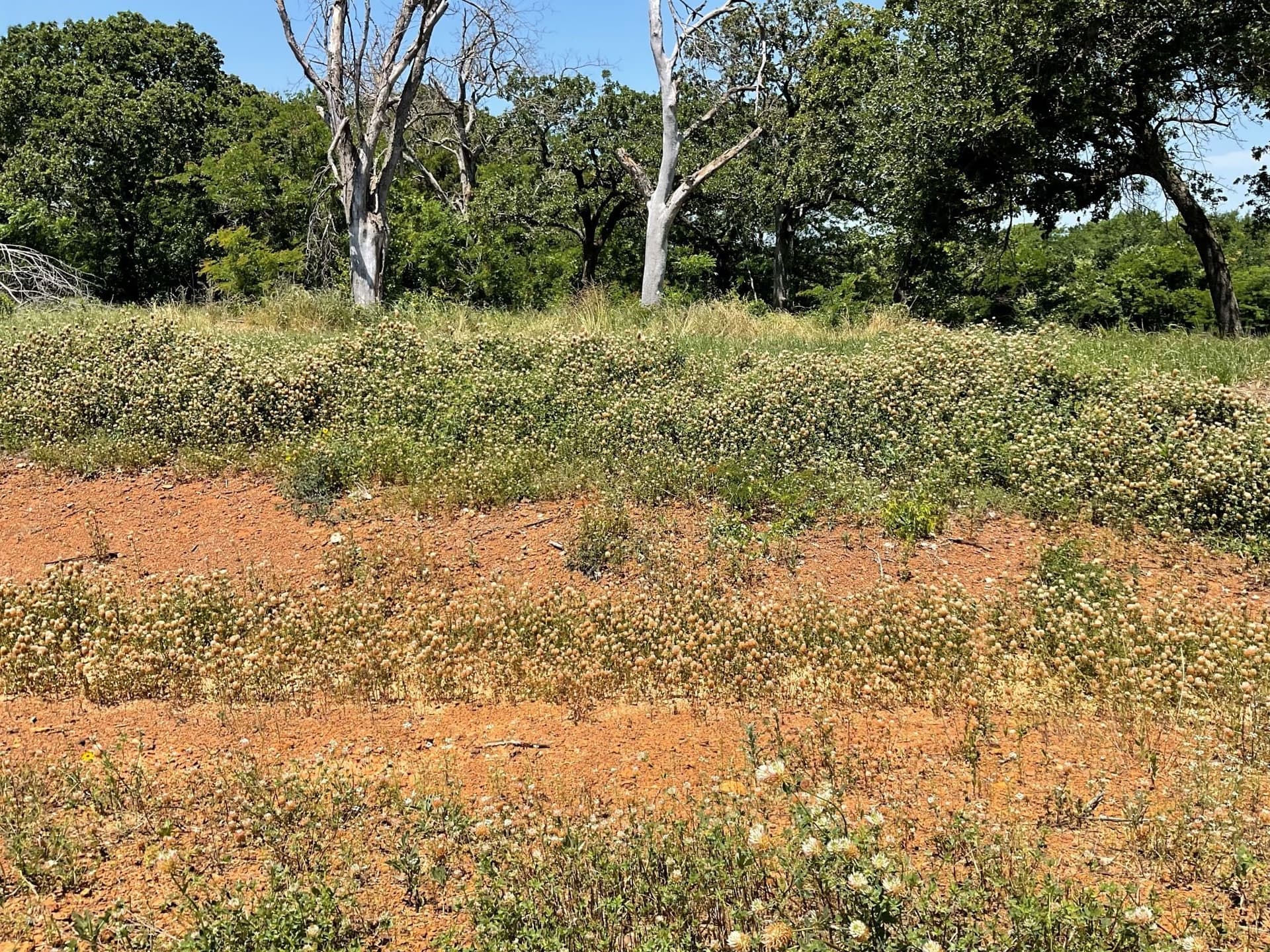 3.2 acres in Johnson County - photo 11