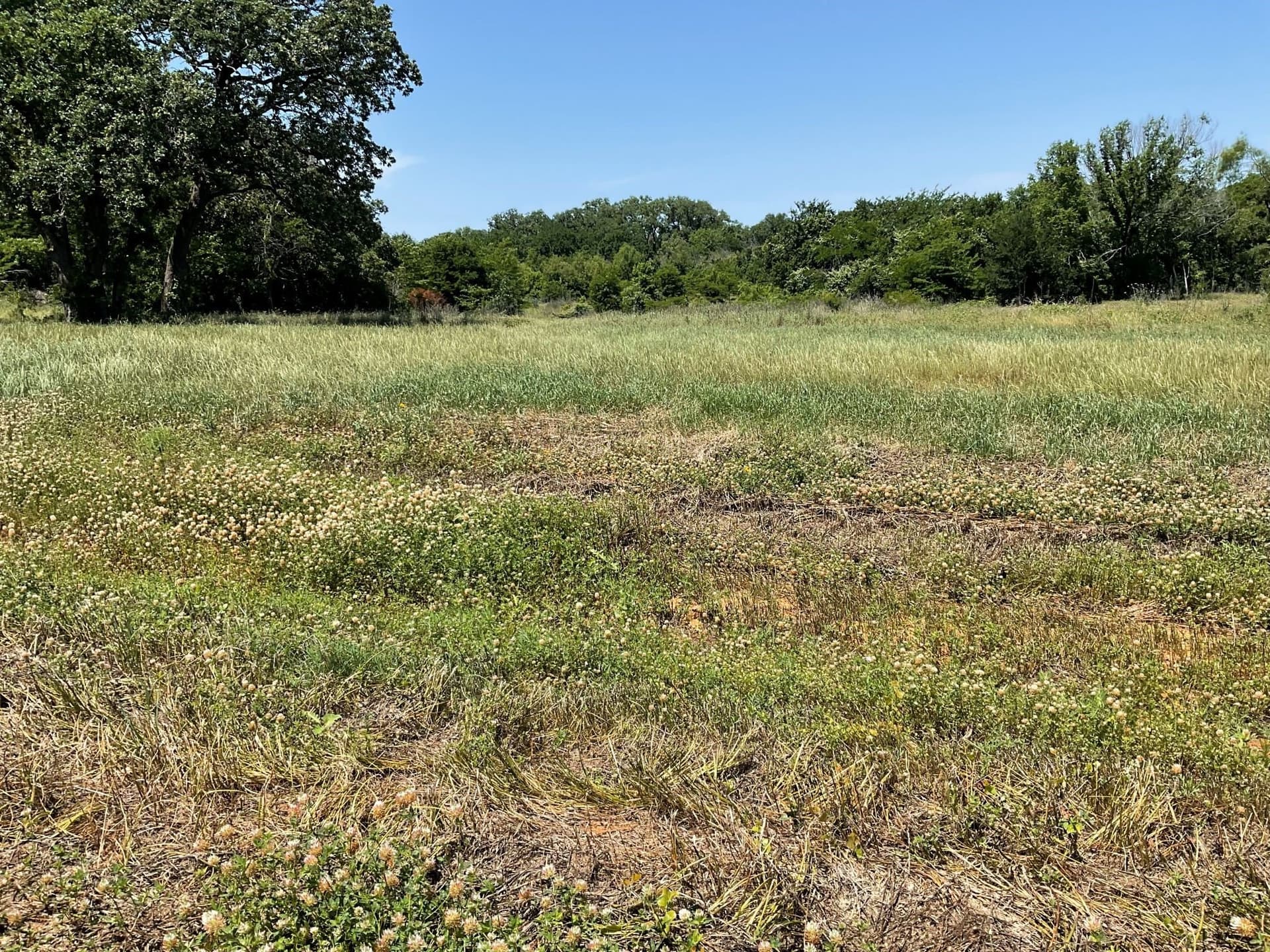 3.2 acres in Johnson County - photo 6