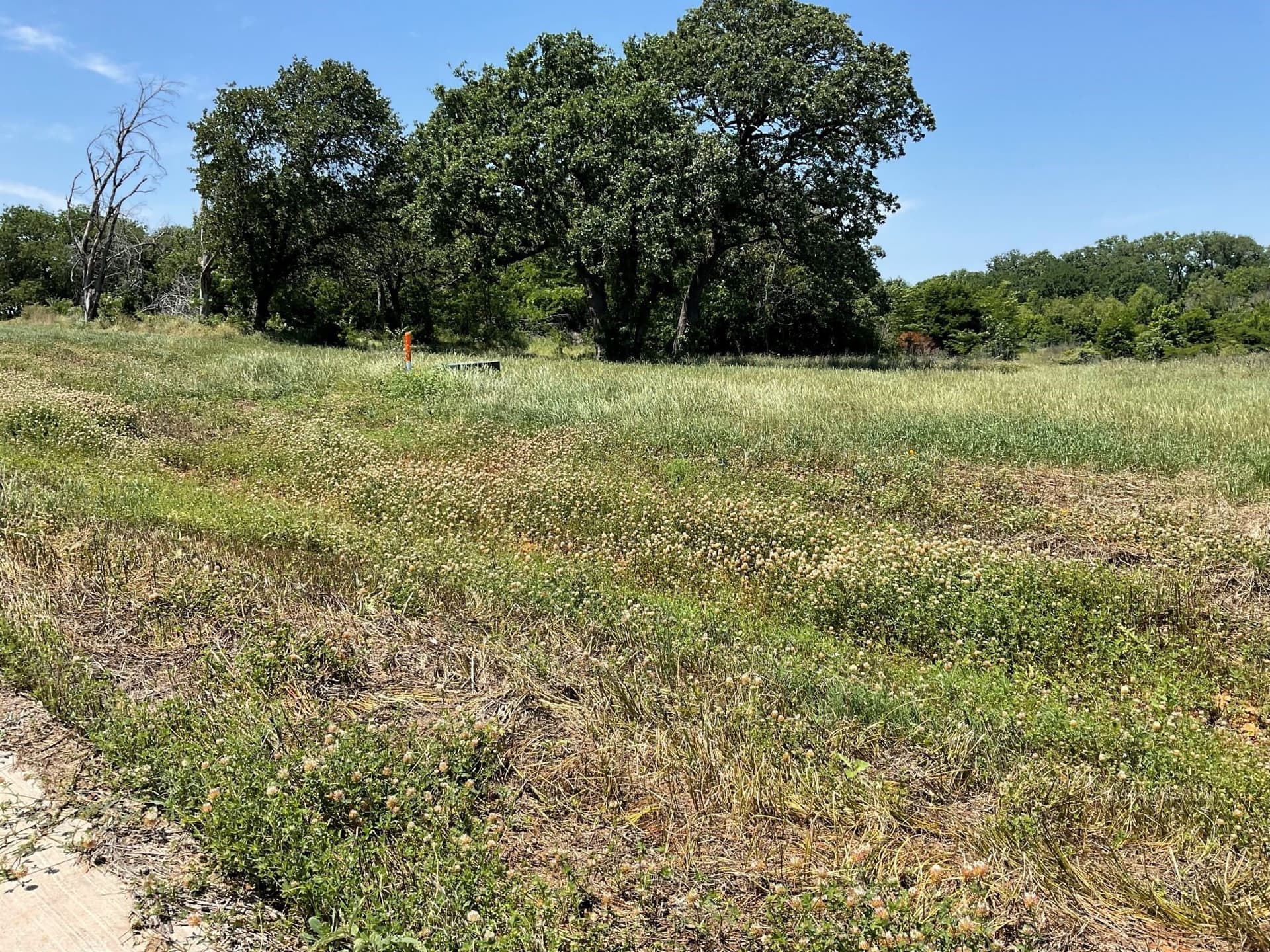 3.2 acres in Johnson County - photo 7
