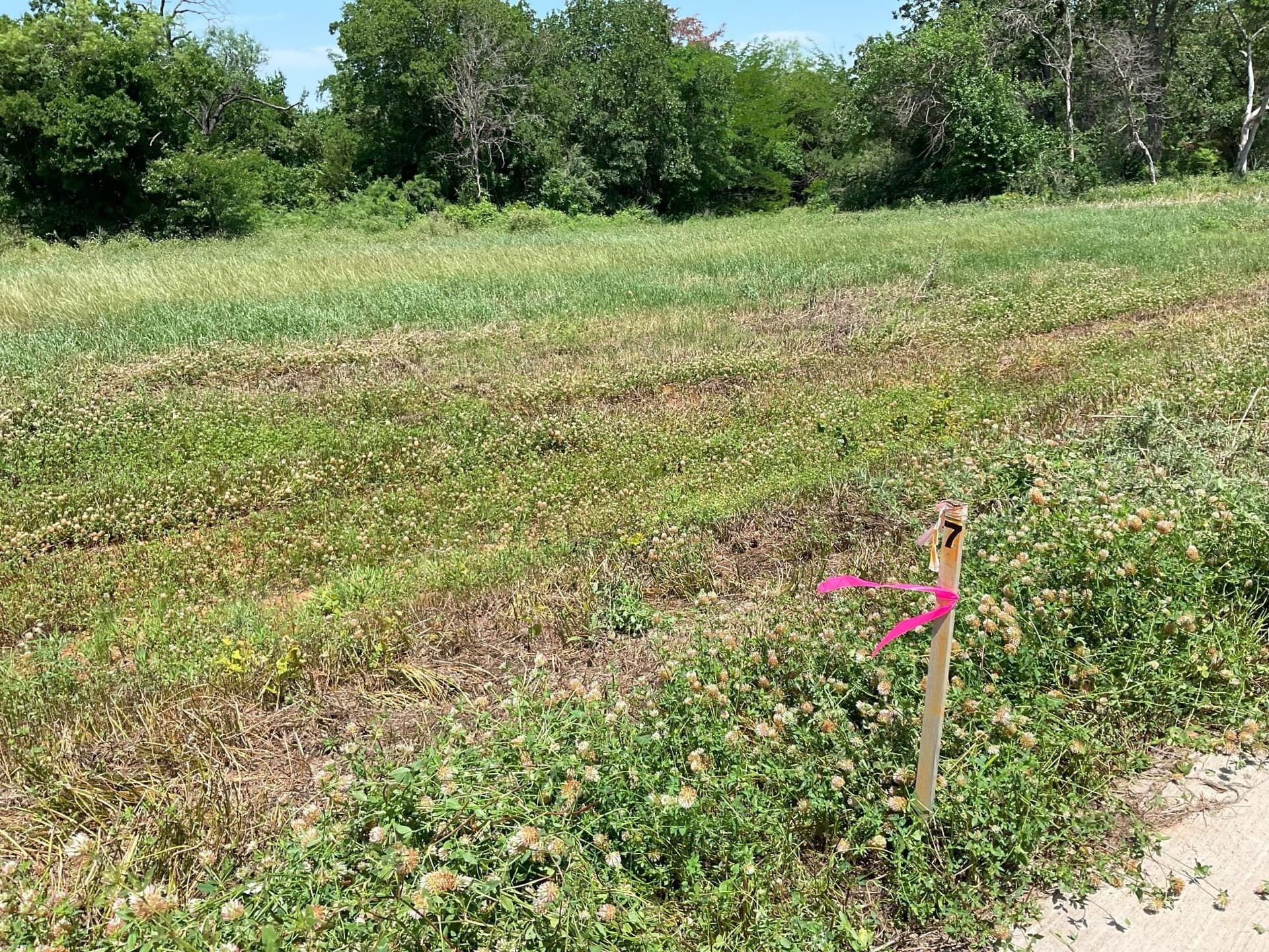 3.2 acres in Johnson County - photo 4