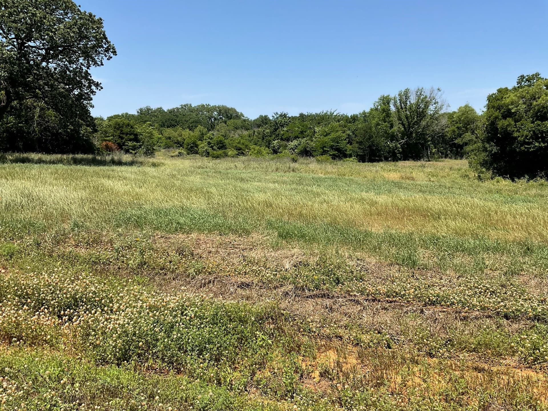 3.2 acres in Johnson County - photo 8