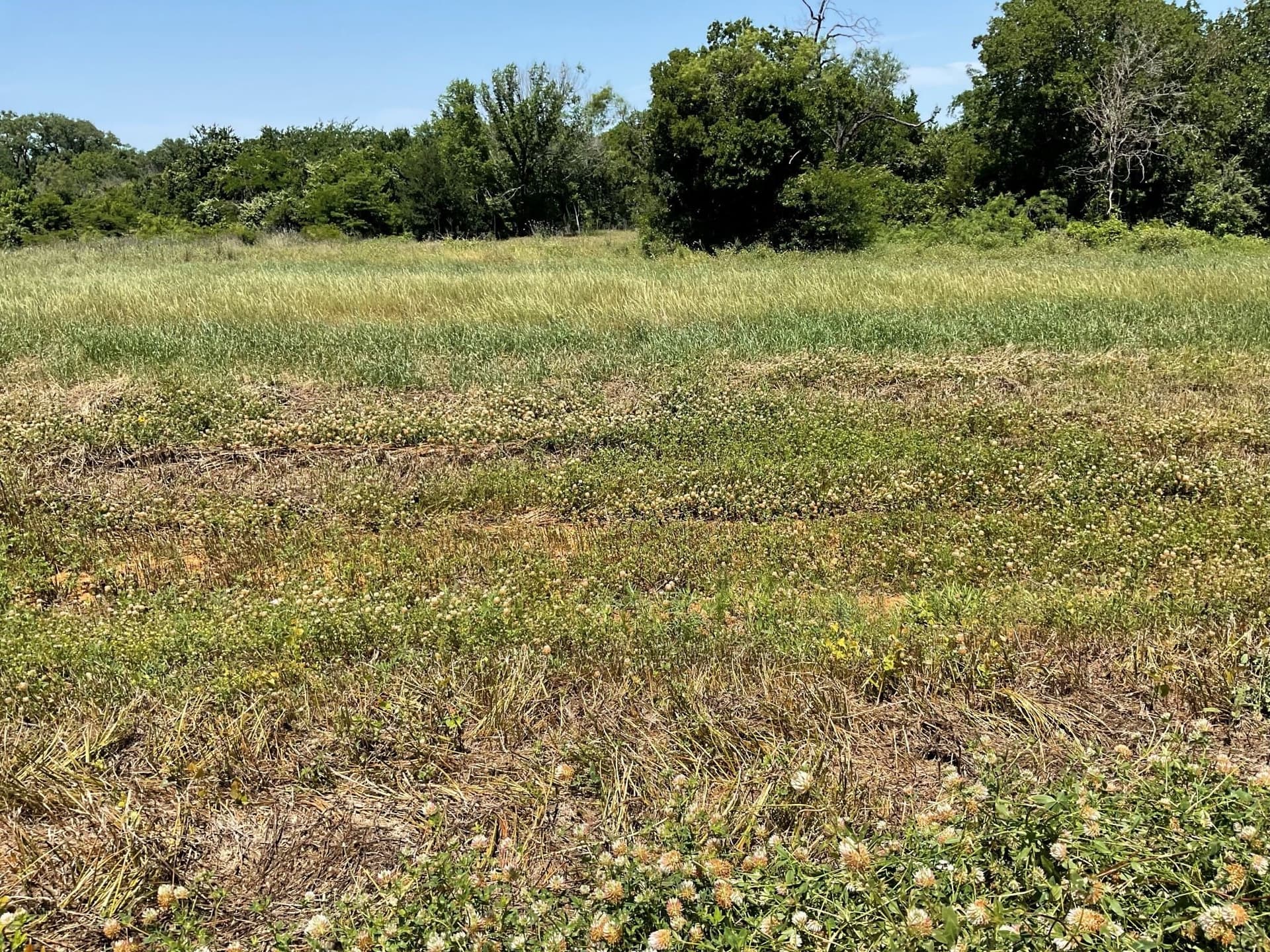 3.2 acres in Johnson County - photo 5