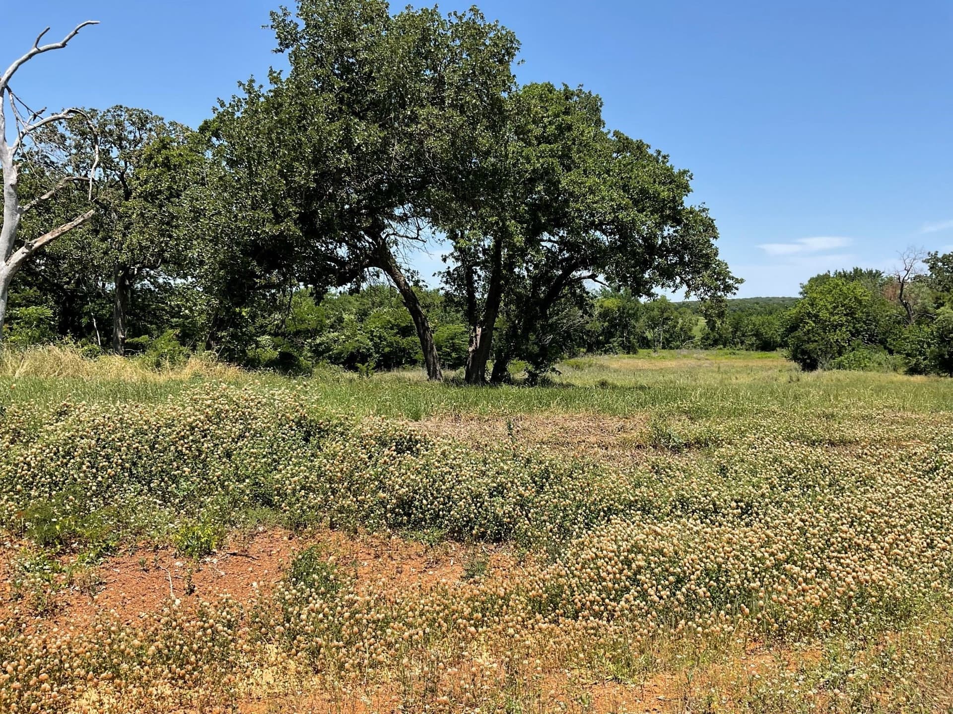 3.2 acres in Johnson County - photo 12