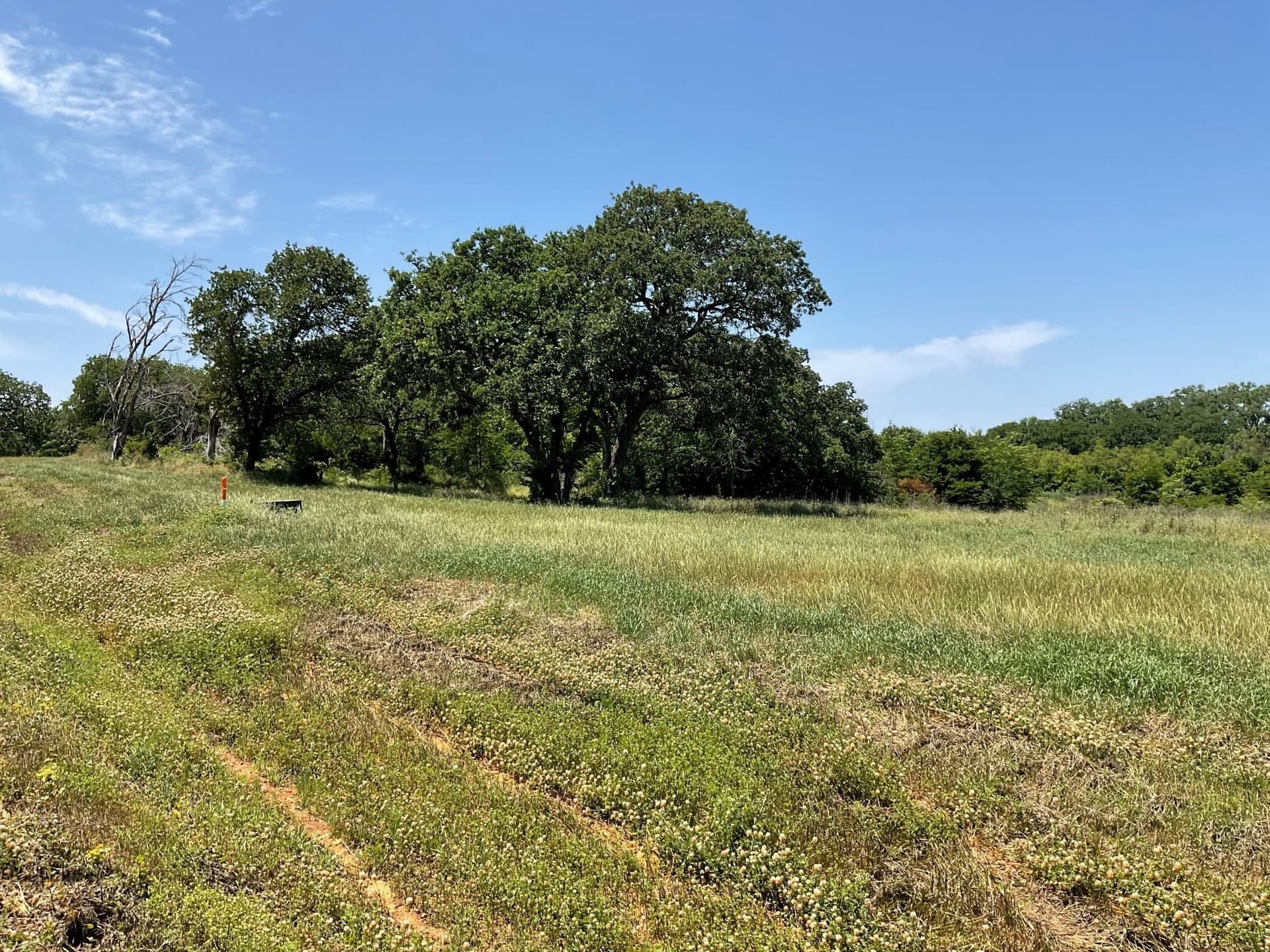 3.2 acres in Johnson County - photo 16