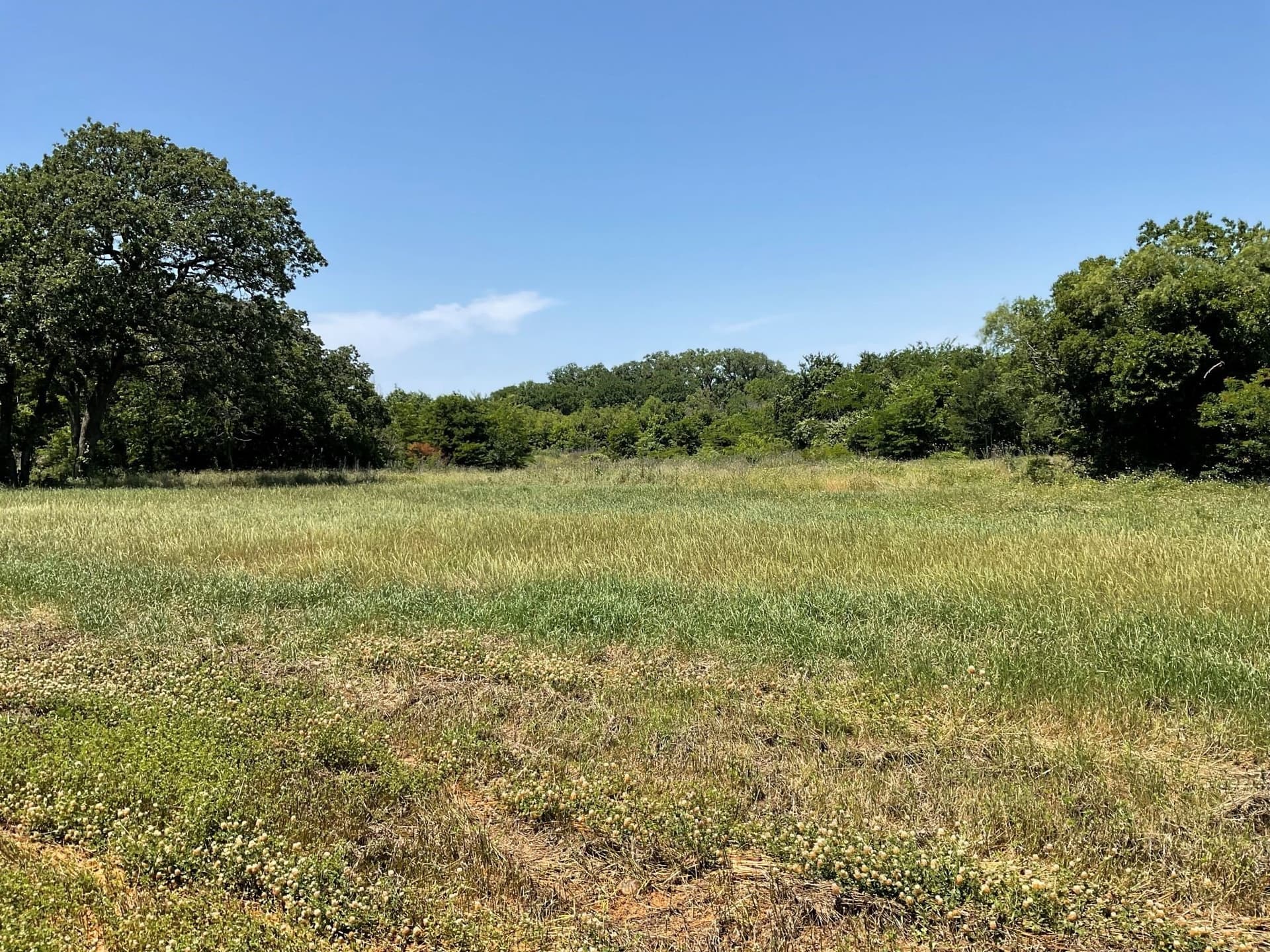 3.2 acres in Johnson County - photo 15