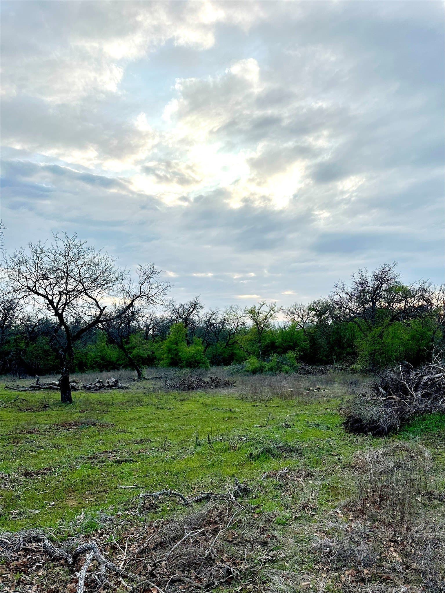 4.94 acres in Palo Pinto County gallery image 3