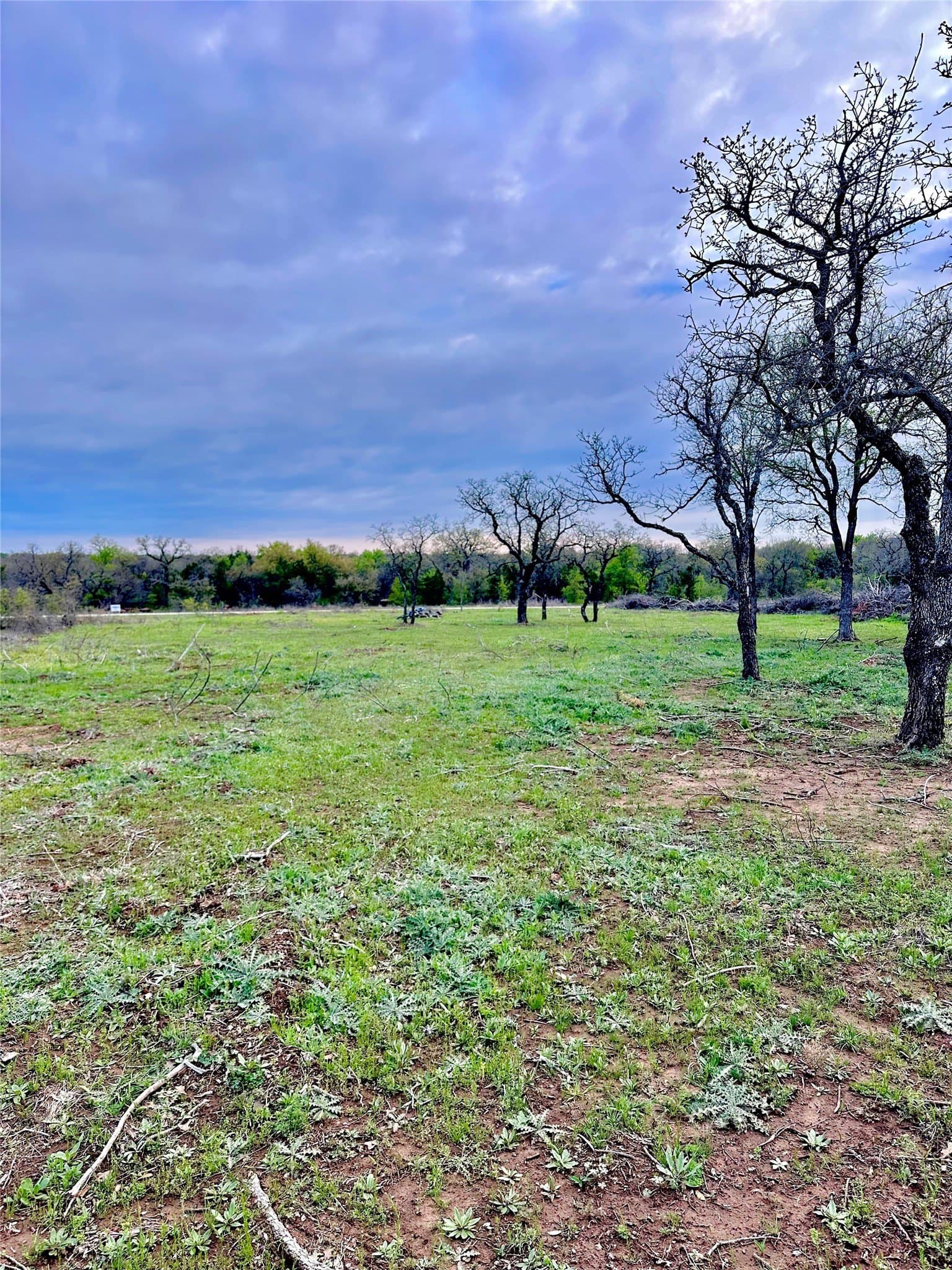 4.94 acres in Palo Pinto County gallery image 2