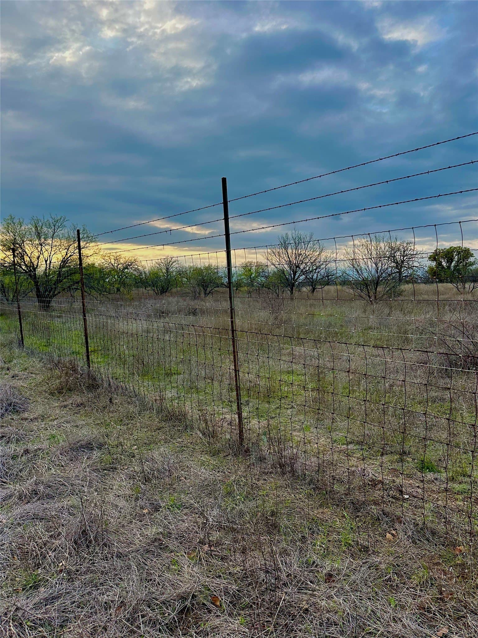 4.94 acres in Palo Pinto County gallery image 4