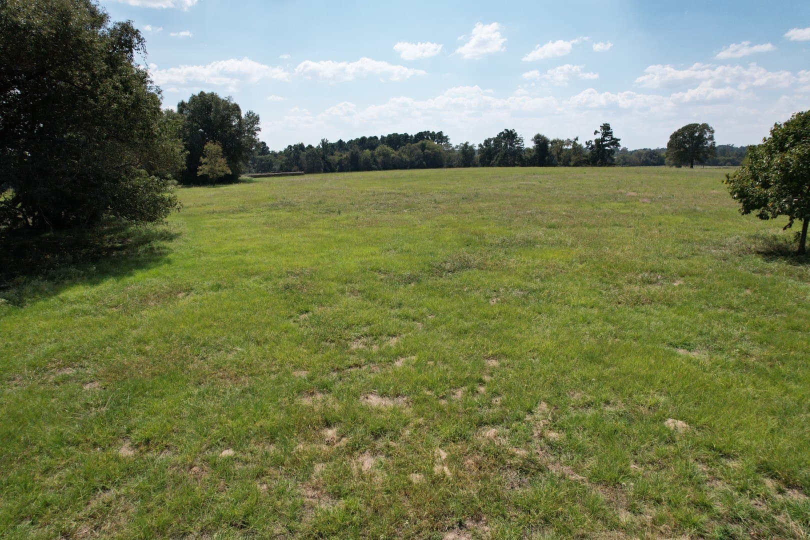 43 acres in Anderson County - photo 13
