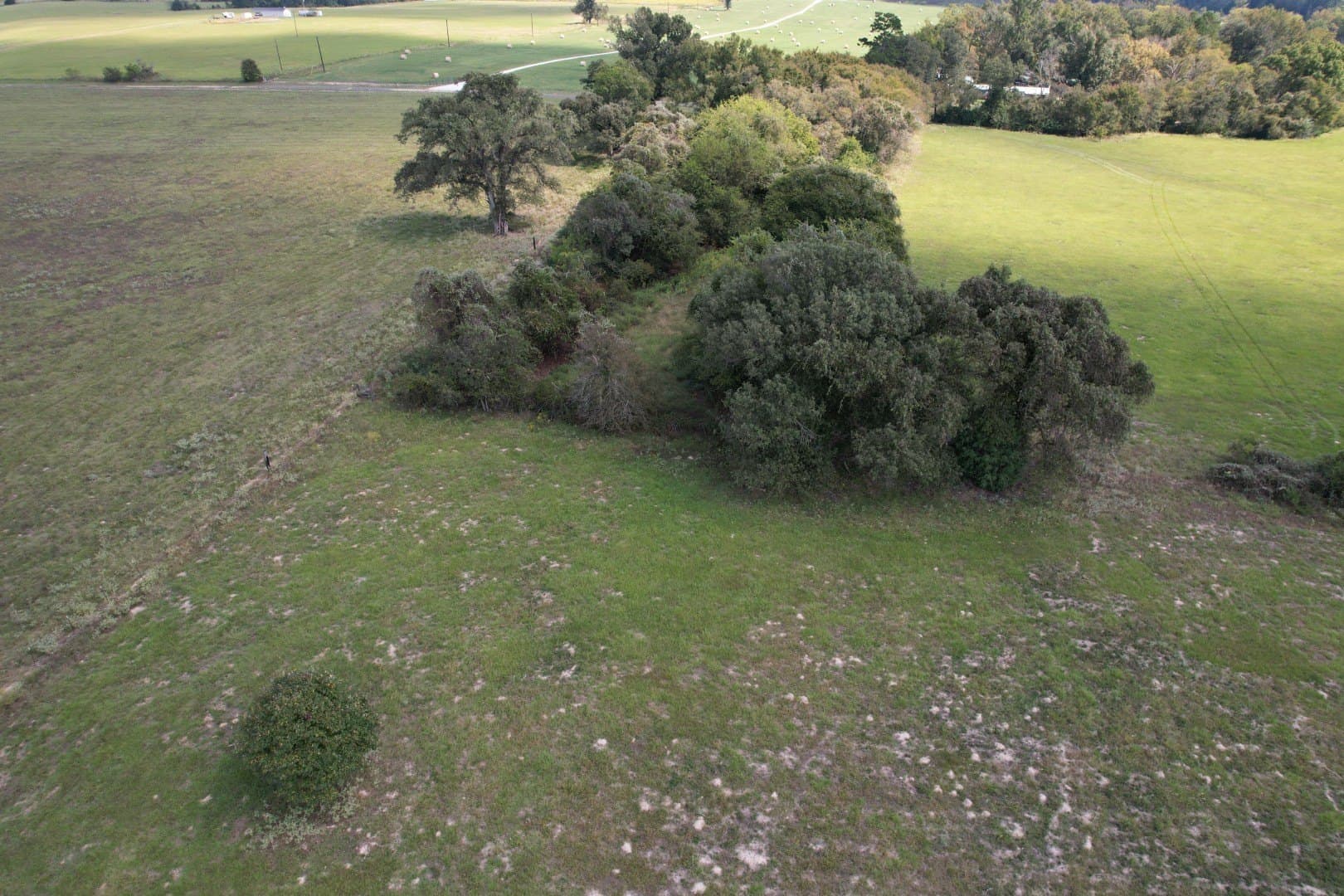 43 acres in Anderson County - photo 16